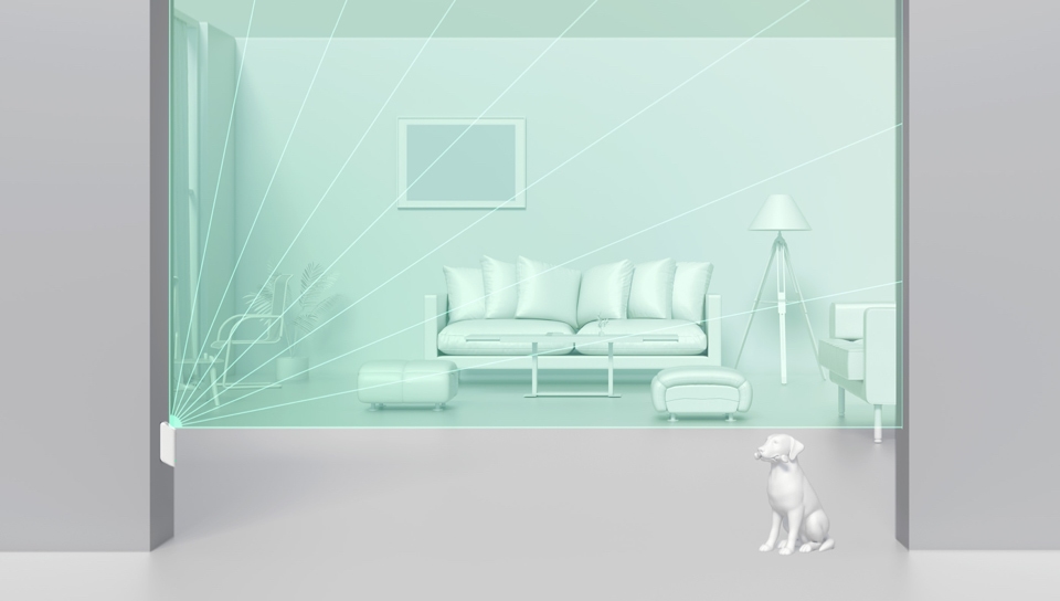 apartment-dog@1x